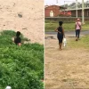 Tlof Tlof at the beach goes viral | Video