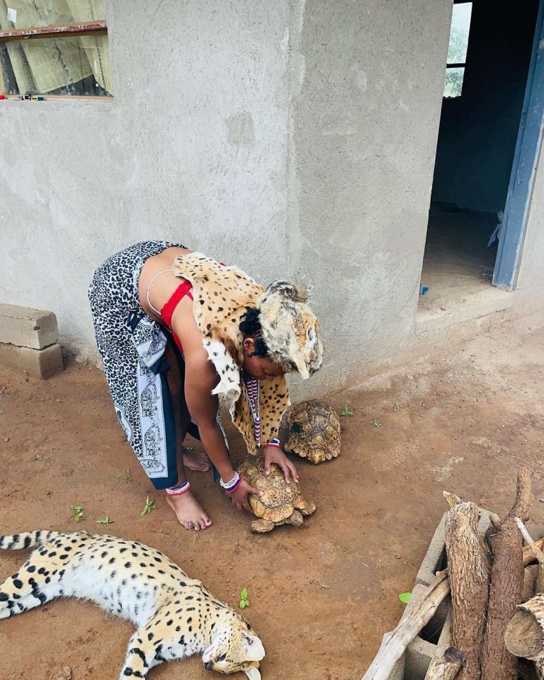 Zodwa-Wabantu-owns-a-leopard-and-tortoises