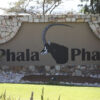 The Real Story Behind the Phala Phala Scandal and Who Owns It!