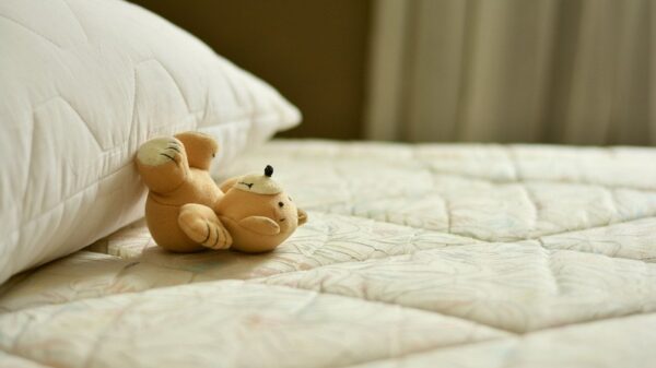 Deceased 6-Year-Old Girl Uncovered Hidden Under Bed Image by Pixabay